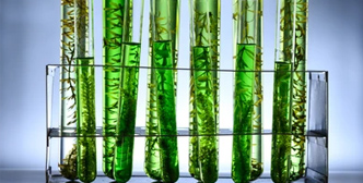 Solicitud de Fermentador de biorreactor in Biocombustibles y Energías Renovables